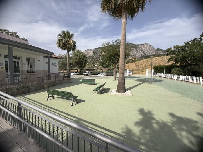 Zona de descanso del jardín con bancos y una palmera